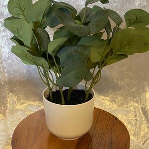 Target Green Faux Eucalyptus in White Pot